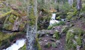 Tour Wandern Stoßweier - Saegmatt Cascade de Stolz Ablass Frankenthal - Photo 10