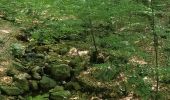 Trail Walking Spa - GrWandArdRiv 12: Spa de Barisart en Geronstère bronnen (PVDB) - Photo 20