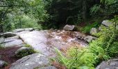Tour Wandern Urbeis - Les deux lacs - Photo 7