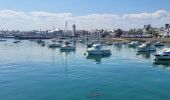 Randonnée A pied Île-de-Batz - Bretagne nord - J1 - L'île de Batz - Photo 9