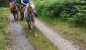 Trail Horseback riding Vacqueville - vacqueville chez Heidi bertrichamp  - Photo 7