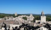 Tour Wandern Cucuron - Cucuron Vaugines - Photo 1