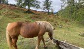 Trail On foot Ramsau am Dachstein - Torwanderung - Photo 4