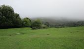 Tour Zu Fuß West Devon - Sticklepath to Belstone Circular - Photo 8