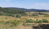 Trail Walking Chanaleilles - AUTOUR DU DOMAINE DU SAUVAGE - Photo 15