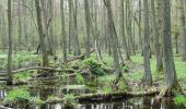 Randonnée A pied Dziekanów Leśny - Ścieżka Dydaktyczna 