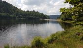 Excursión Senderismo La Bresse - BREITSOUZE - DE LA SOURCE DE LA MOSELOTTE AU LAC DE LA LANDE - Photo 8