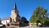 Randonnée A pied Markgröningen - DE-Markgröningen - Leudelsbach - Tamm (SAV Blauer Punkt) - Photo 10