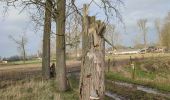 Trail Walking Ninove - Galgenveld - Photo 7