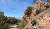 Randonnée V.T.T. Les Adrets-de-l'Estérel - Esterel 8 : Fait 2022 les Adrets Fréjus st Raphaël Agay et retour - Photo 1