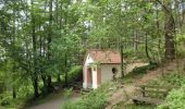 Tocht Te voet Schlammersdorf - Holzmühle Rundweg 1 - Photo 5