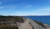 Trail Walking Leucate - la franqui - phare du cap de leucate / retour par la falaise et la plage  - Photo 18