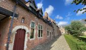 Tour Wandern Oud-Heverlee - S-GR Dijleland: Sint-Joris-Weert - Leuven - Photo 20