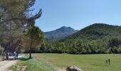 Tocht Stappen Beaurecueil - Sainte Victoire : Barrages de Bimont et Zola - Photo 20