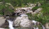 Trail Walking Saint-Martin-Vésubie - boucle refuge de Cougourde/lac de Ttecolpas/ Pas des Ladres - Photo 1