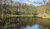 Randonnée Marche Perreux - Perreux : bois de La Ronzière - Photo 9