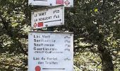 Trail Walking Riedisheim - 2024 09 19 - Photo 1