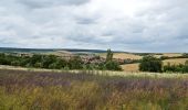 Tour Zu Fuß Kindelbrück - Geopark Steinrinne - Photo 7