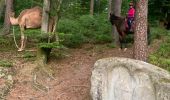 Tour Reiten Lambach - Promenade autour de Bitche - Photo 5