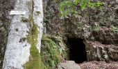 Tour Wandern Büssing - Source de la Moselle - Col de Bussang - Cuisine du Diable - Tête des Perches avec vue Lac des Perches - Photo 14