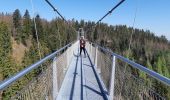 Tocht Stappen Bad Wildbad - Baumwipfelpfad et Wildline à Bad Wildbad dans le Schwarzwald - Photo 8