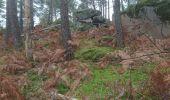 Trail Walking Fontainebleau - la faisanderie 24 janvier 2023  - Photo 3