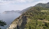 Tour Wandern Vernazza - Corniglia-Monterosso-10kmD570m - Photo 2