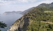 Tocht Stappen Vernazza - Corniglia-Monterosso-10kmD570m - Photo 2