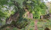 Excursión Senderismo Niederhaslach - Niederhaslach - châteaux Ringelstein - Rochers du Pfaffenlapp et du Breitberg - Photo 3