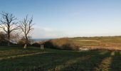 Excursión Senderismo Hautot-sur-Mer - hautot sur mer pourville - Photo 3