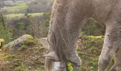 Tour Reiten Raon-l'Étape - Chapelle des pestiférés yoigo Tivio  - Photo 6