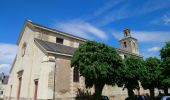 Tour Wandern Bourgueil - Bourgueil - GRP Coteaux de Bourgueil - 26.7km 150m 5h55 (45mn) - 2023 05 06 - Photo 8