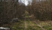 Tour Mountainbike Wirten - Saint-Remy  -  Balade_VTT_28kms - Photo 18