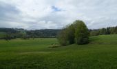 Percorso A piedi Wangen im Allgäu - Wanderweg 15 Wangen im Allgäu - Photo 10