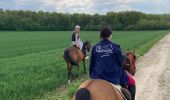 Trail Horseback riding Frémonville - Fremonville tiboy Vispa Isabelle  - Photo 4