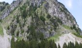 Randonnée A pied Alpthal - Brunni - Muesliegg - Photo 8