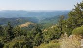 Trail Walking Val-d'Aigoual - Cascade d'Orgon depuis Cap de Côte - vue Mont Aigoual - Photo 5