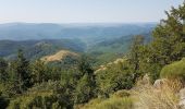 Trail Walking Val-d'Aigoual - Cascade d'Orgon depuis Cap de Côte - vue Mont Aigoual - Photo 5