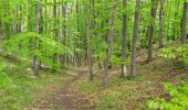 Tour Zu Fuß Warburg - Rundwanderweg 