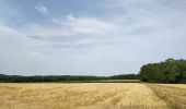 Tocht Stappen Essômes-sur-Marne - Crogis du 22-07-2023 - Photo 1