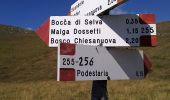 Percorso A piedi Bosco Chiesanuova - Sentiero n. 4 - Podestaria - Photo 4