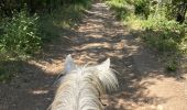 Trail Horseback riding Revest-du-Bion - Provence 2025 J5 - Photo 8