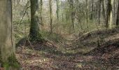 Tour Wandern Namen - Gelbressée Abbaye Mldames - Photo 2