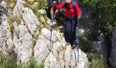 Excursión Senderismo Le Revest-les-Eaux - Habitat préhistorique - Photo 17