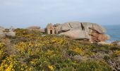 Tour Wandern Perros-Guirec - ploumanach - Photo 10