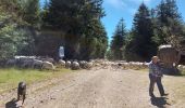 Percorso Marcia Dourbies - saint sauveur de camprieu - Photo 3