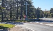 Tocht Stappen Fontainebleau - Sentier Denecourt 3 - Photo 1