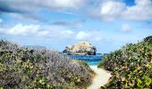 Tour Zu Fuß Saint-François - Sentier de la Pointe des Châteaux - Photo 4