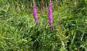 Percorso Marcia Meix-devant-Virton - Gerouville - Photo 18