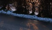 Tour Wandern Stoumont - balade hivernale avec Rantanplan  - Photo 2